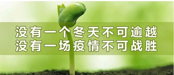 武燃設計院積極組織員工下沉社區 參與疫情防控工作