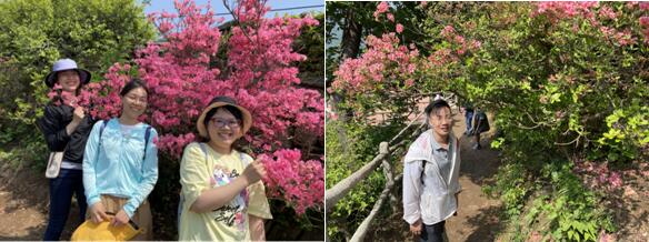 走進木蘭云霧山 看漫山紅遍 共赴一場浪漫“花事”